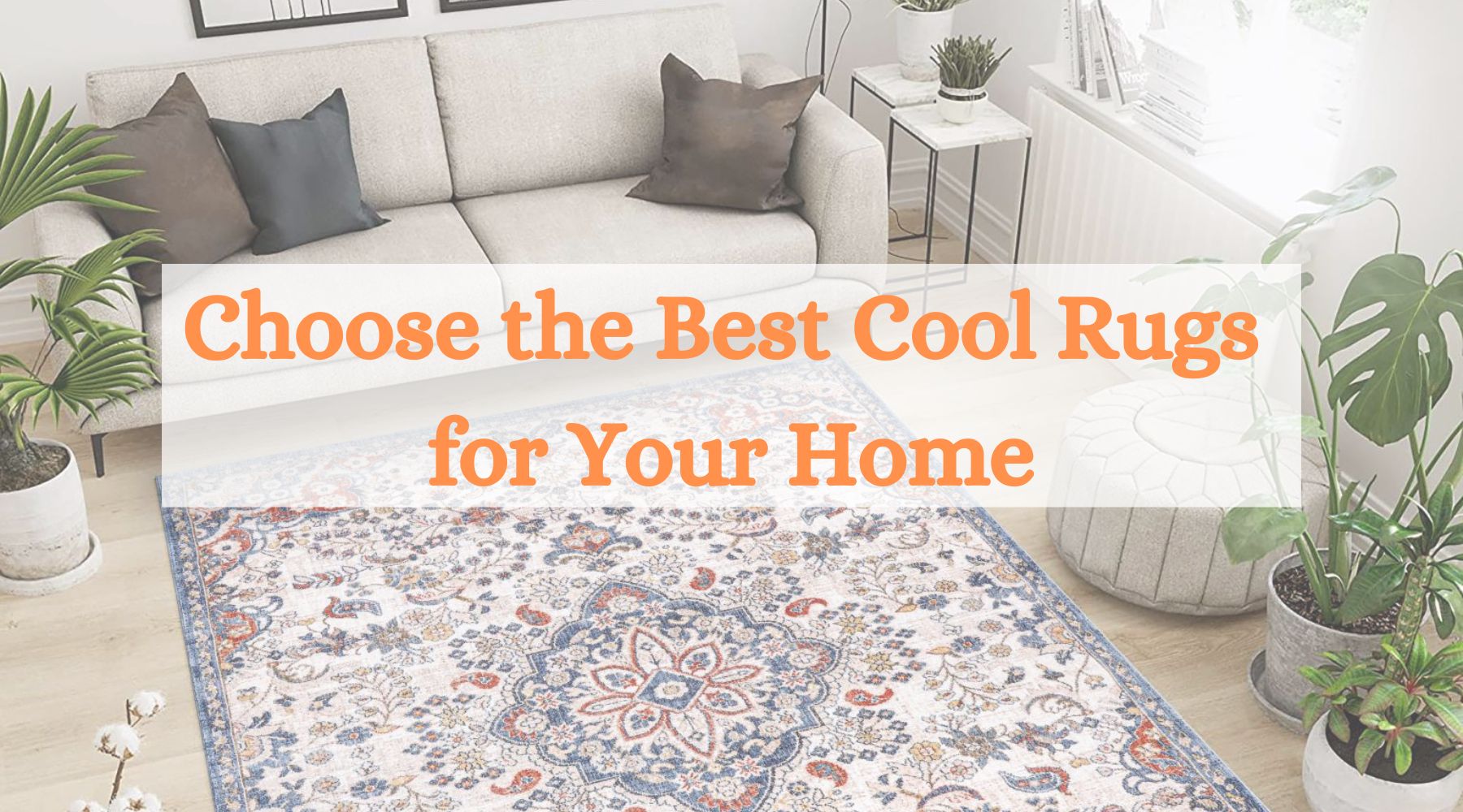 Cool Rugs Elevating Your Space with Style and Comfort