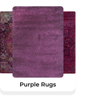 Rug Gallery
