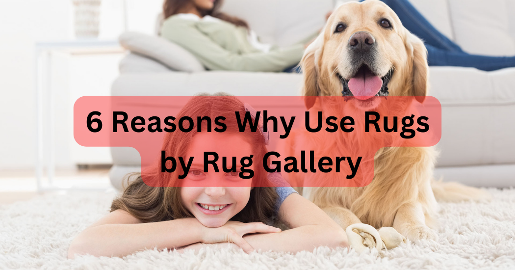 6 Reasons Why Use Rugs