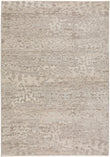 Denizi DZ6 Rug Dalyn Gray 3x5 
